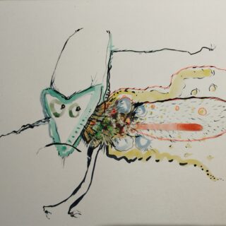 Insectes n° 4 .   Fantastiques . dessin technique mixte . format A4  avec cadre . Serge Vandecasteele . #steelserge