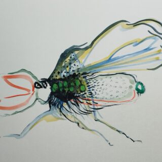 Insectes n° 3 .   Fantastiques . dessin technique mixte . format A4  avec cadre . Serge Vandecasteele . #steelserge  