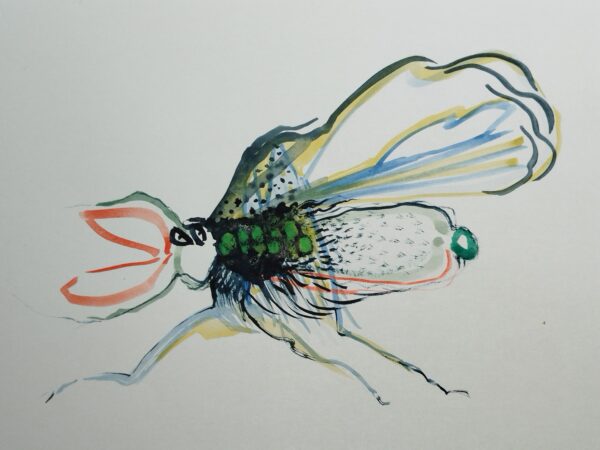 Insectes n° 3 .   Fantastiques . dessin technique mixte . format A4  avec cadre . Serge Vandecasteele . #steelserge  