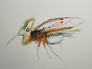 Dessins uniques. Serge Vandecasteele. Steelserge. Fantastiques. Thématiques, insectes imaginaire. Technique mixte. Format A4 papier. Prix 60 euros encadré.