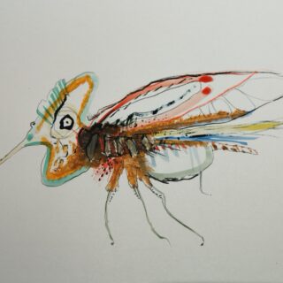 Dessins uniques. Serge Vandecasteele. Steelserge. Fantastiques. Thématiques, insectes imaginaire. Technique mixte. Format A4 papier. Prix 60 euros encadré.