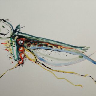 Insectes n° 2 .   Fantastiques . dessin technique mixte . format A4  avec cadre . Serge Vandecasteele . #steelserge  